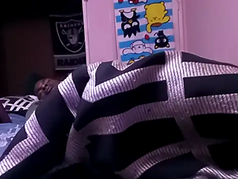 Blkstylion webcam