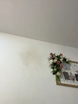 IvonneOwen webcam