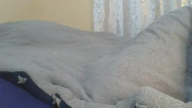 ndivhuwomuleya webcam