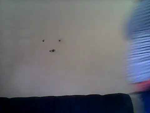 Angelbee_