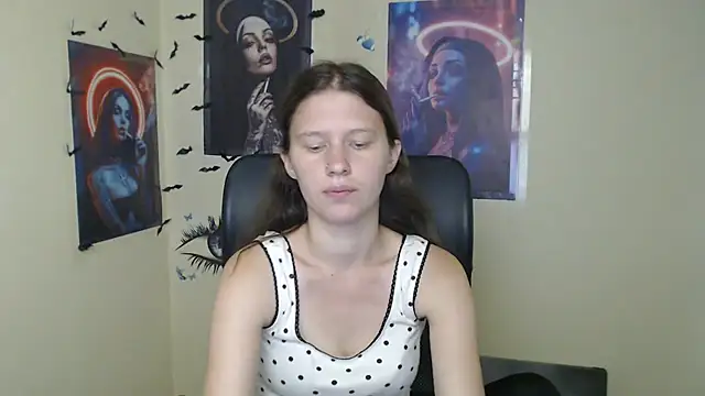 StellaCRL webcam