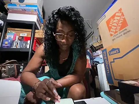 wynterheat webcam