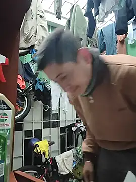 Tiger_cryad