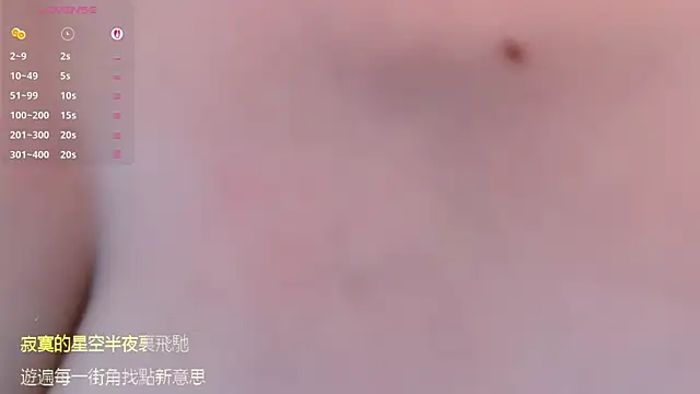 Vaidurya-Yolo webcam