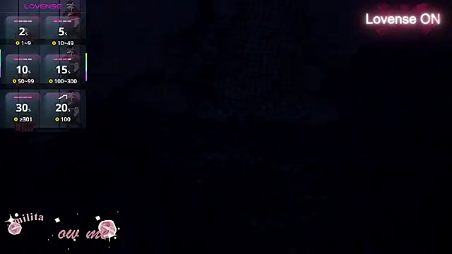 milita_houston webcam