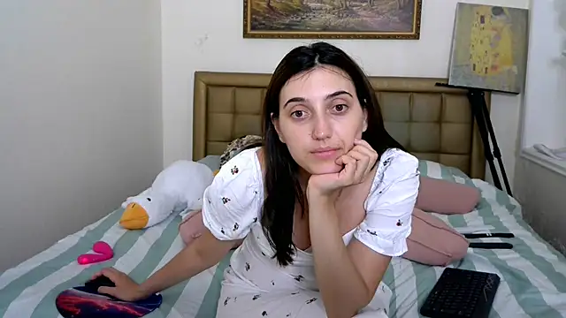 Iren webcam