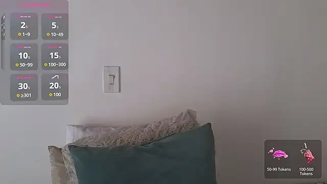 ninaa_fox webcam