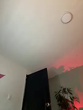 YariRose live webcam show