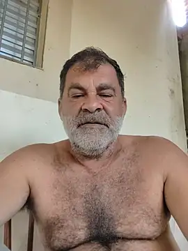Peludo173317
