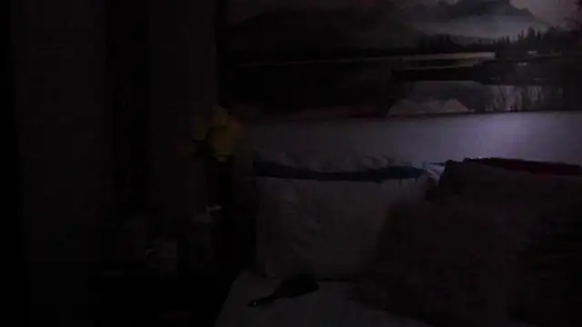 Aurora_Real webcam
