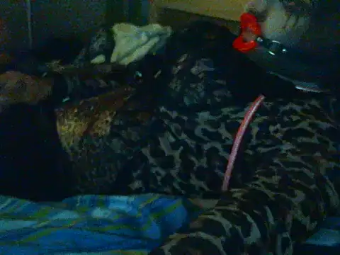 qwer1234 webcam