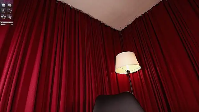 Alice-blaker webcam