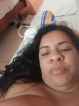 lapatronav2026 webcam