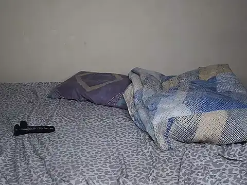 srodes webcam