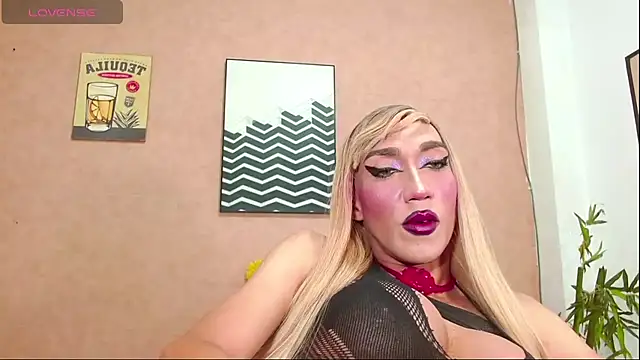 karlaveckyts webcam