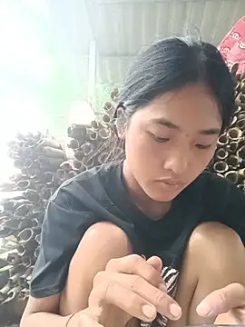 Hoa-tuylip