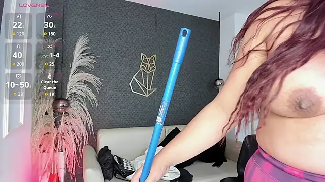 silvia_lane webcam