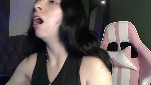 kittyhouse_hs webcam