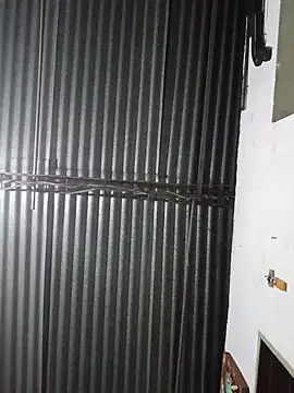 Ann_Houston_ webcam