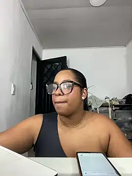 NV-Nikoll webcam
