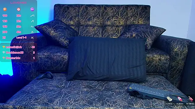 BrayaanFit webcam