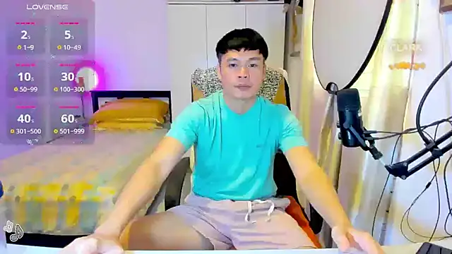 clarkdangerous webcam