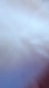 AliceStone19 webcam