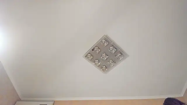 Diamond_D_ webcam