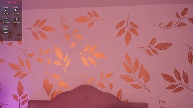 alix_bay webcam