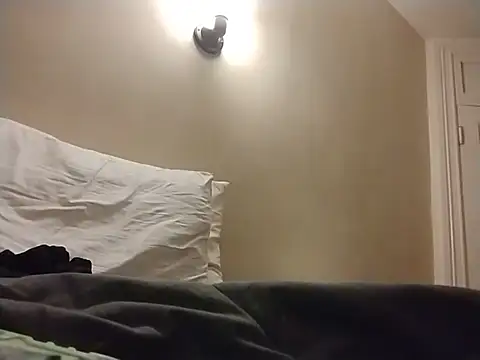 priceC411 webcam
