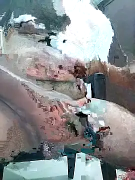 Pitercom live cam