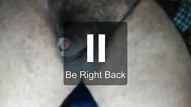 Bearspigdirty live cam