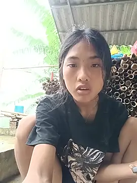 Hoa-tuylip