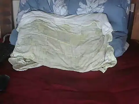 Your_Bunny255 webcam
