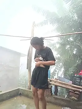 Hoa-tuylip