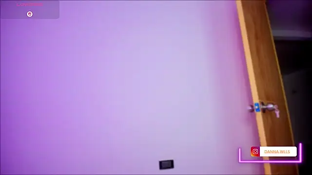 Dannawells webcam