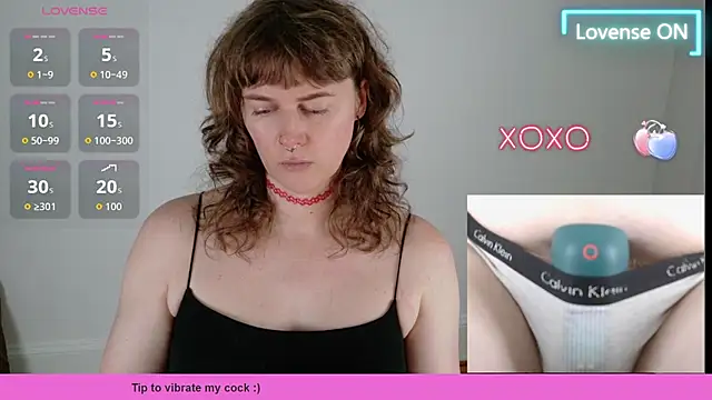 tsellieryder webcam