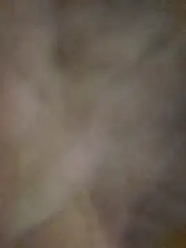 UncutHammer69 live cam on StripChat