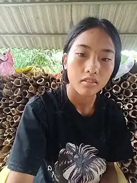 Hoa-tuylip live webcam show