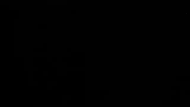Aurora_Real webcam