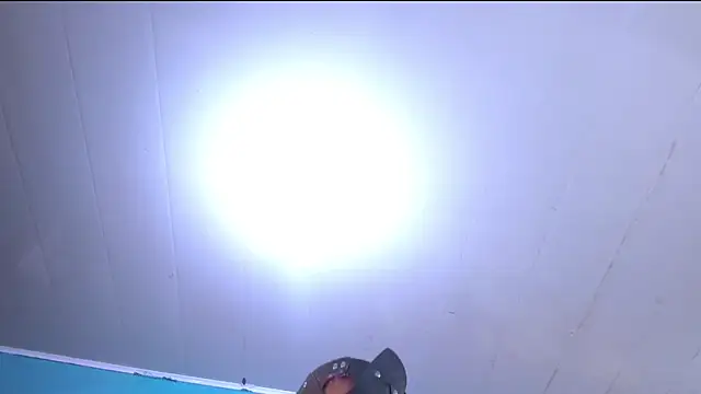 KaliAndLeon webcam