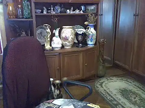 ElenaZed webcam