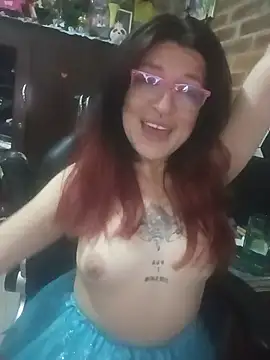 _Alaskamisa webcam