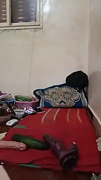 tslovetoys5 webcam
