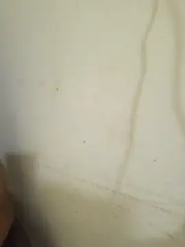 sexy_shital live cam on StripChat
