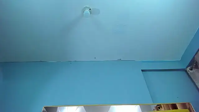AlahiaEvanz webcam