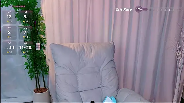 Dolpin_ webcam