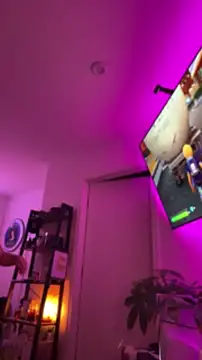 allpawgsgotoheaven webcam