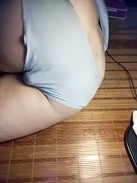 -sansan- webcam