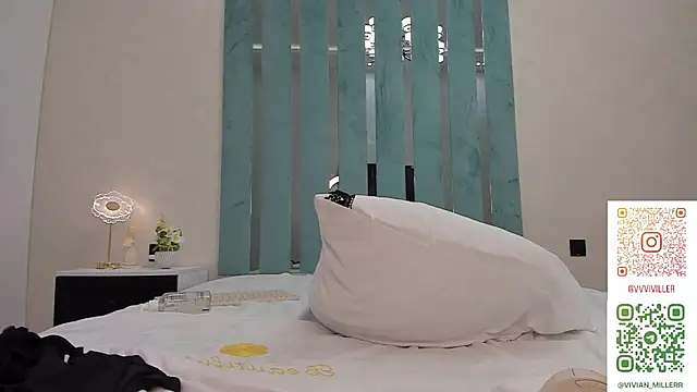 VivianMiller_ webcam